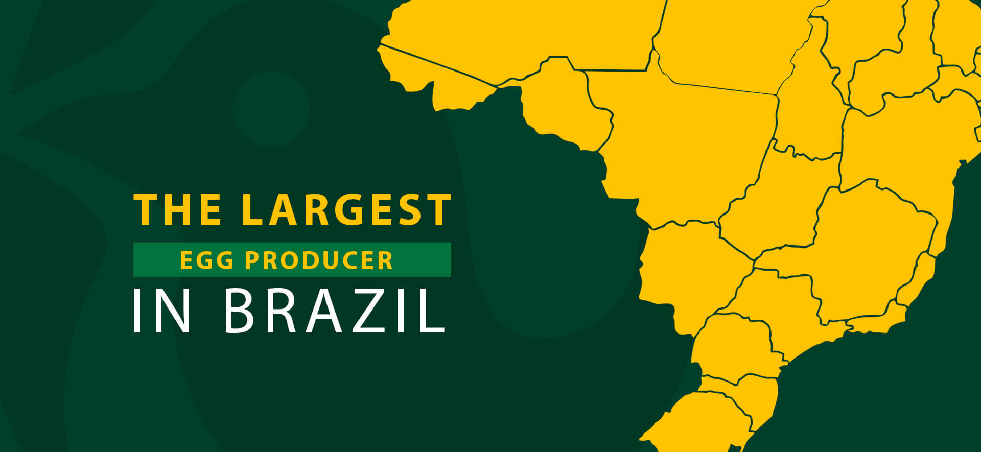 The largest egg producer in Brazil